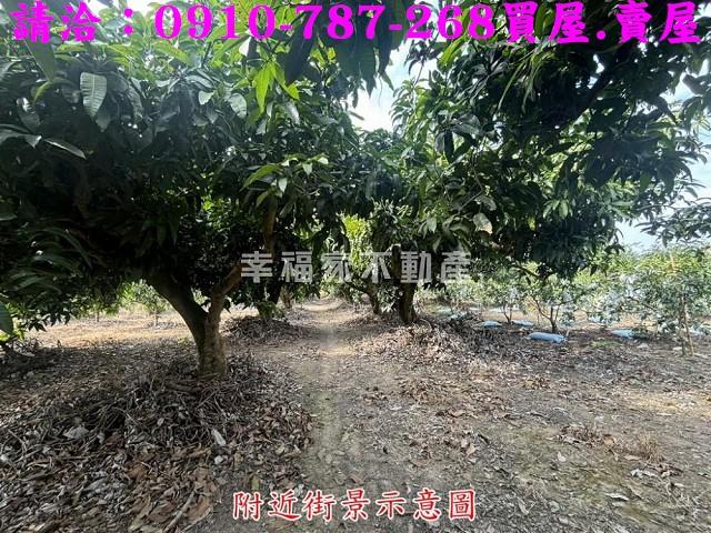 楠西農地-13
