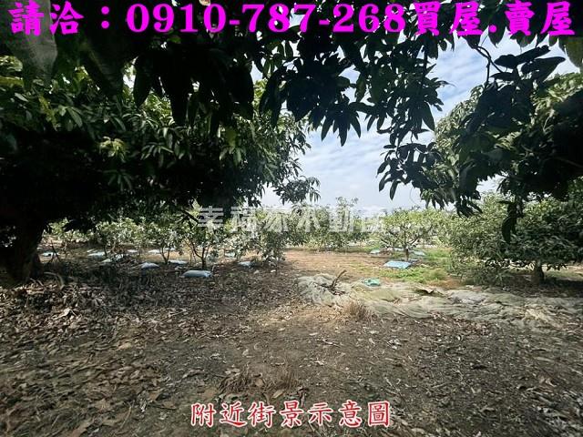 楠西農地-14