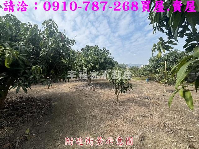 楠西農地-4