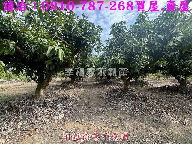楠西農地-5
