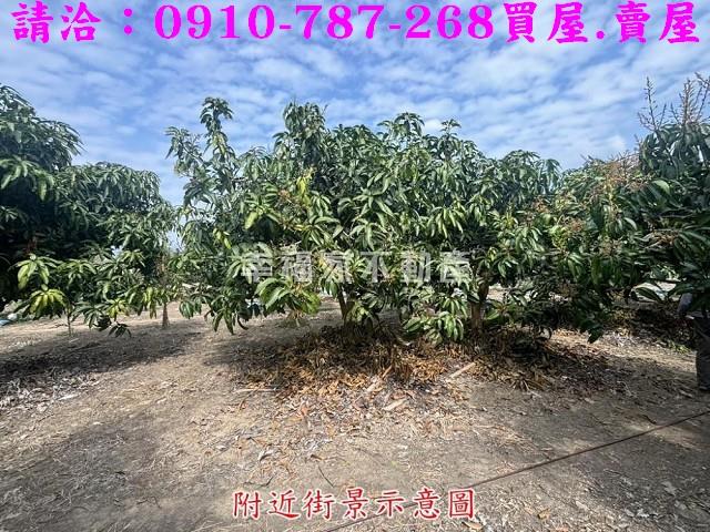 楠西農地-6
