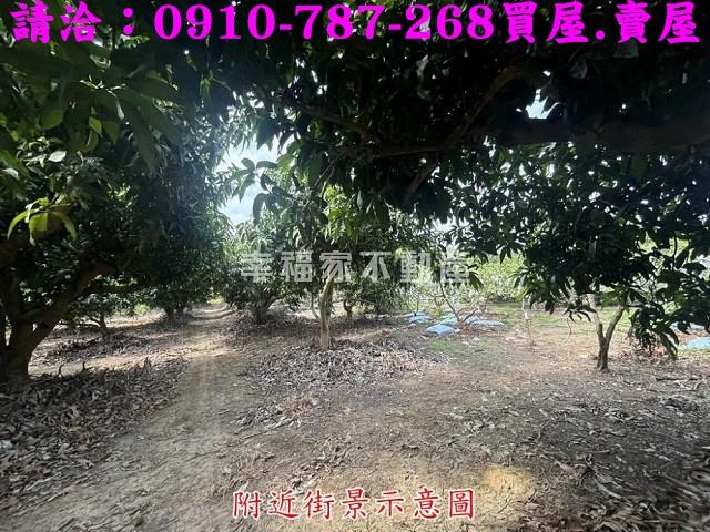 楠西農地-7