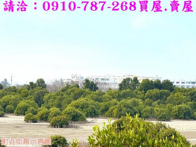台南農地-8