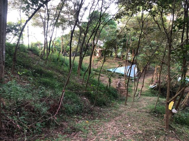 台中太平農地-9