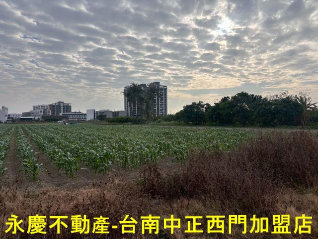 台南安南農地-1