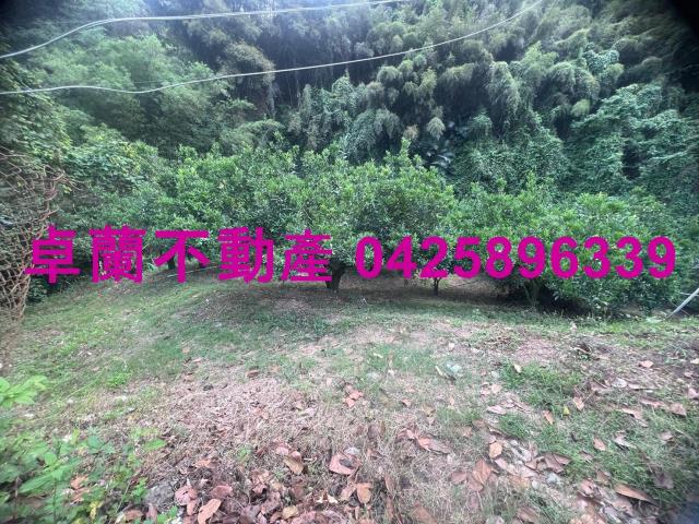 苗栗卓蘭農地-2