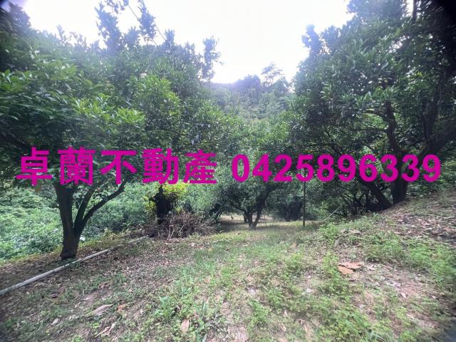 苗栗卓蘭農地-4