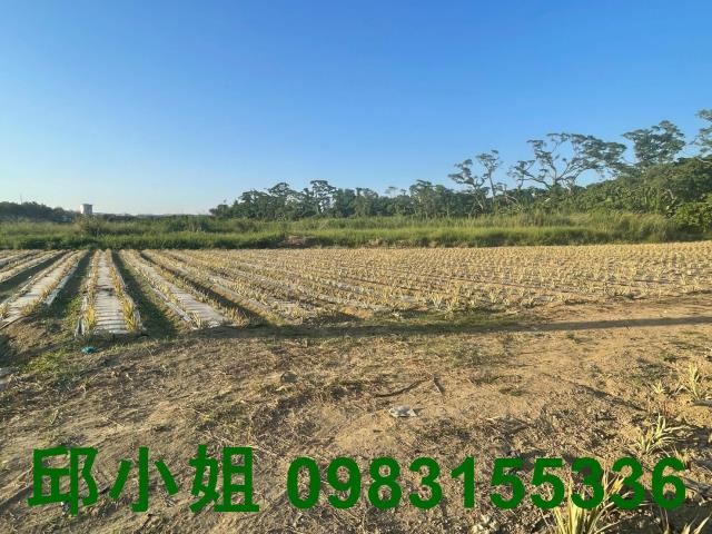 嘉義阿魯米建地農地買賣台灣房屋嘉義湖子內店富鑫團隊呂昆佩