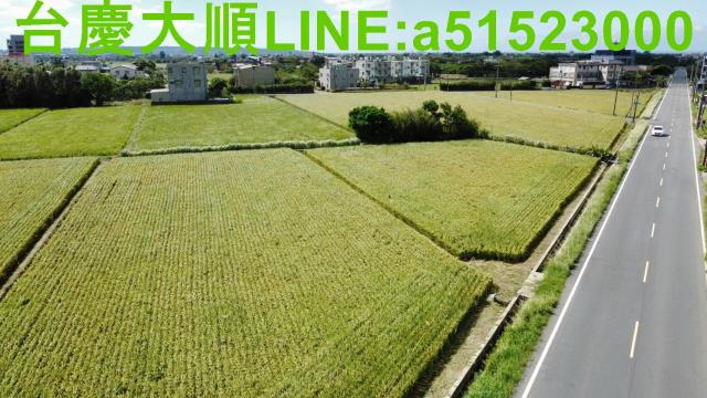 新豐農地-8