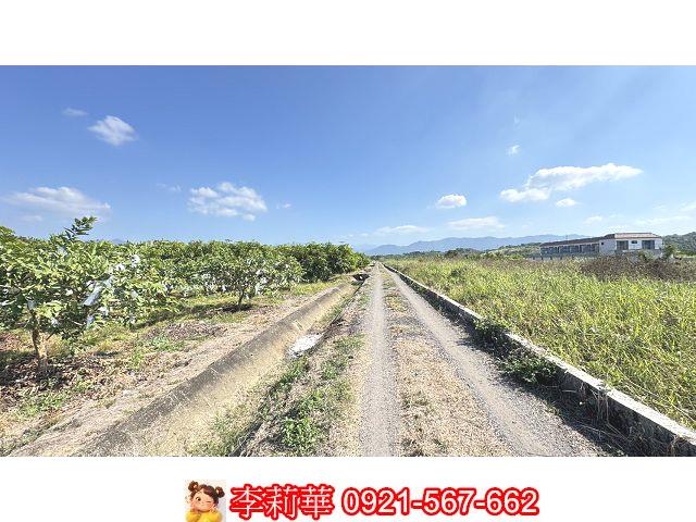 台南玉井農地-8