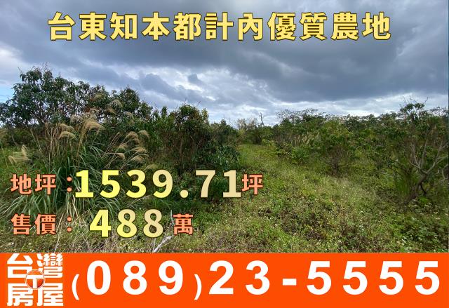 台東台東市農地-5