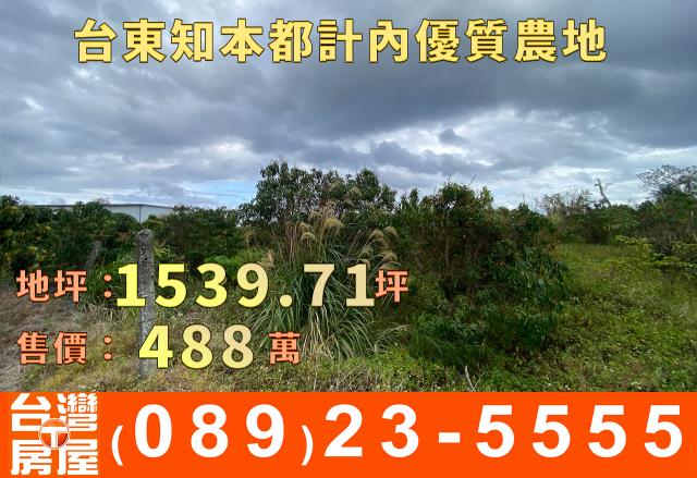 台東台東市農地-6