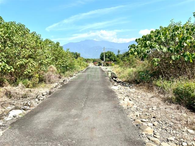 屏東高樹農地-0