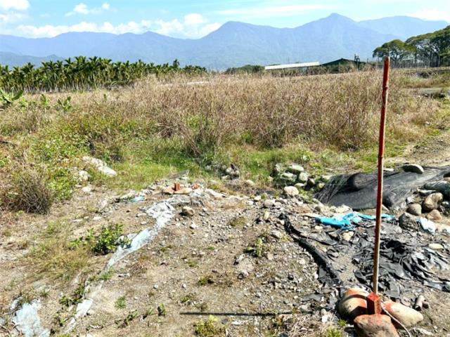 屏東高樹農地-4