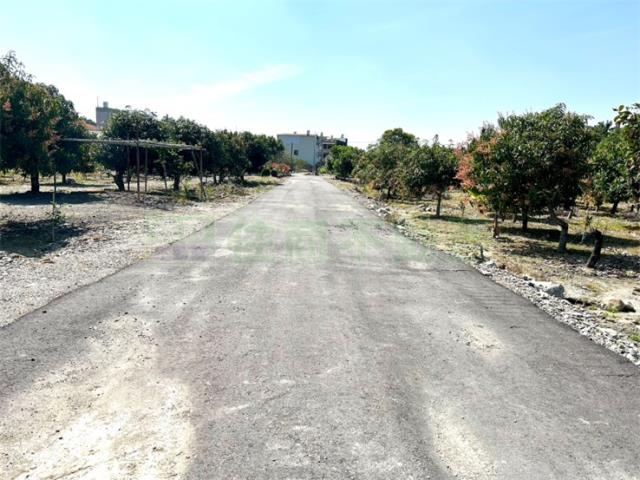 屏東高樹農地-1