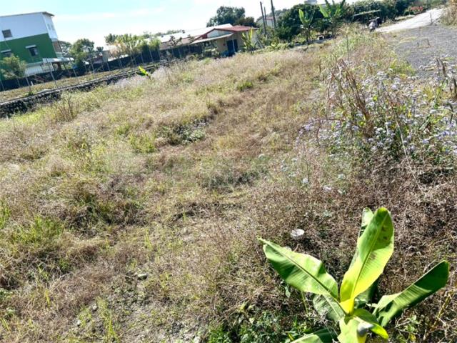 屏東高樹農地-2