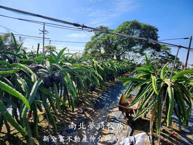 龍崎農地-5