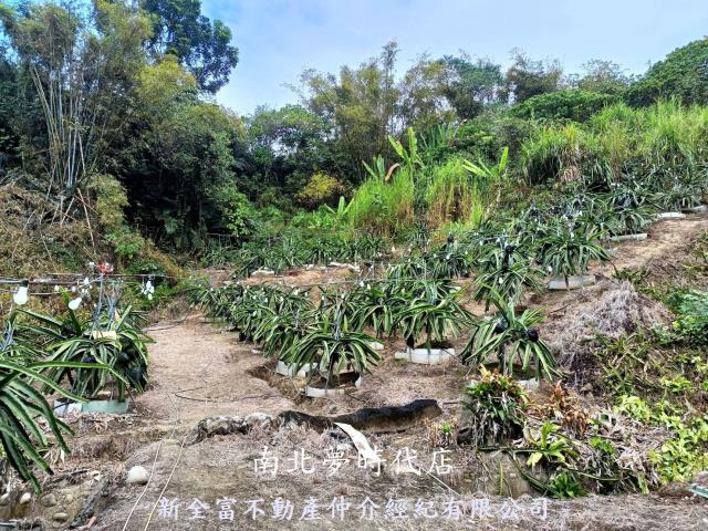 龍崎農地-6