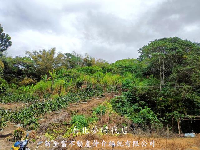 龍崎農地-8