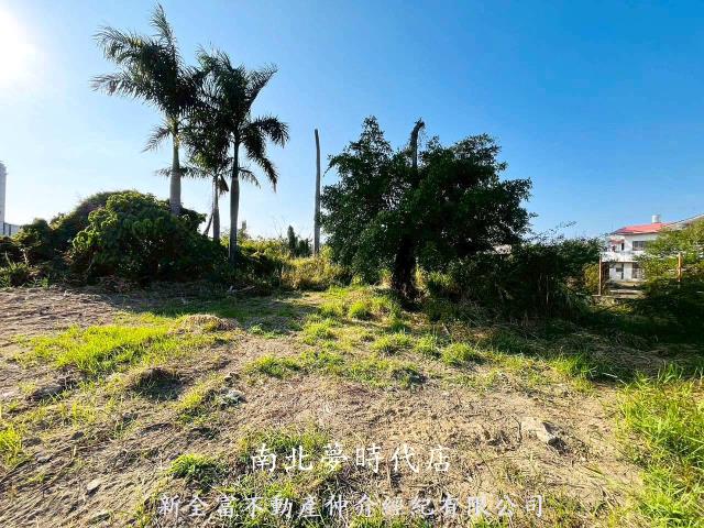 台南農地-1