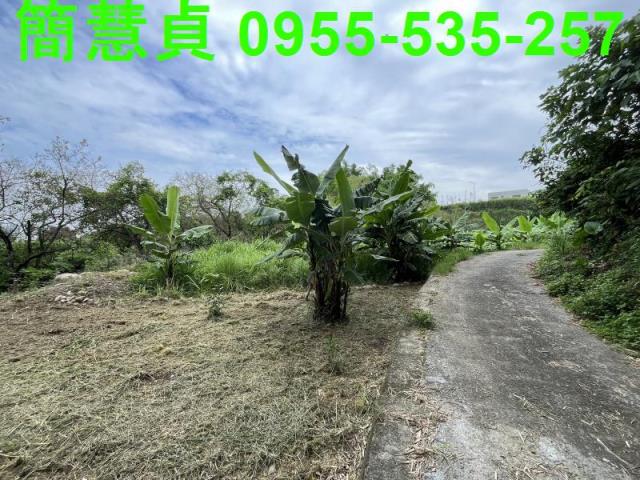 南投草屯農地-2