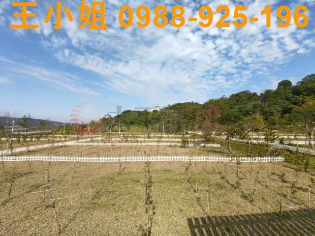 桃園大溪農地-3