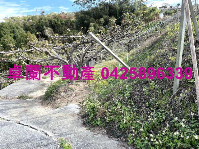 苗栗卓蘭農地-5