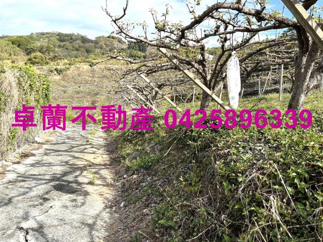 苗栗卓蘭農地-7