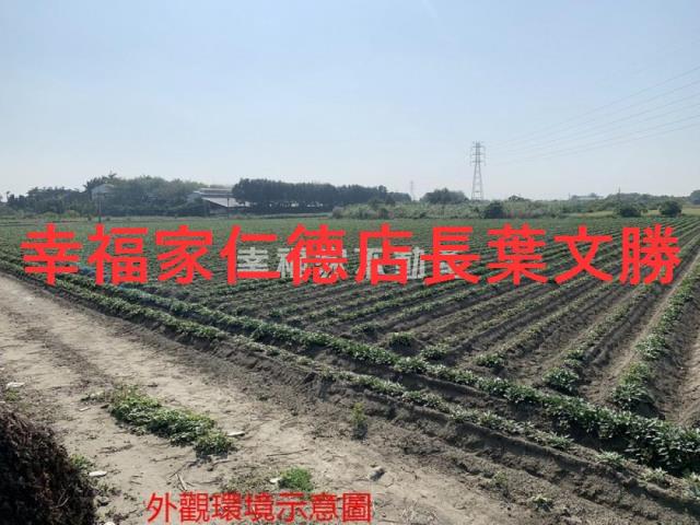 善化農地-9