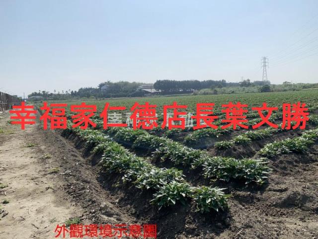 善化農地-1