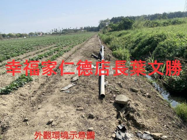 善化農地-12