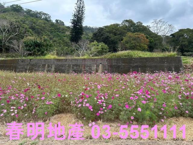 橫山臨路農地可分塊買