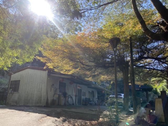 台中東勢農地-1