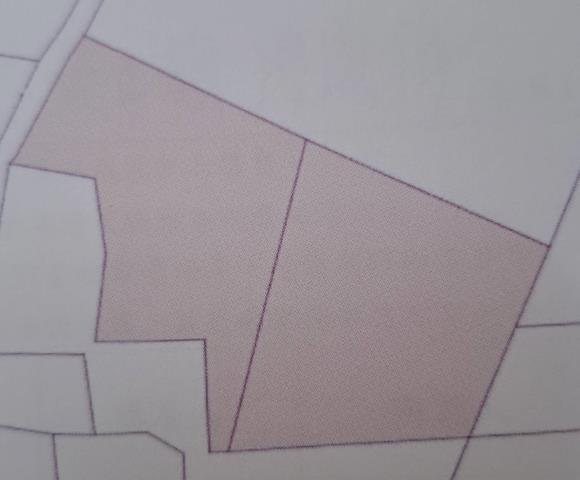 台南仁德農地-4