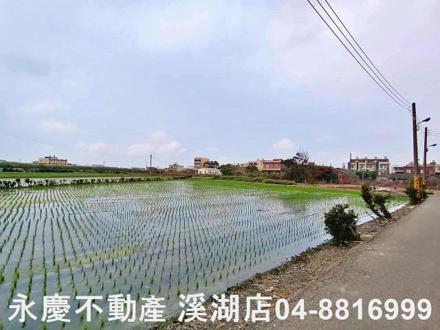 彰化福興農地-5