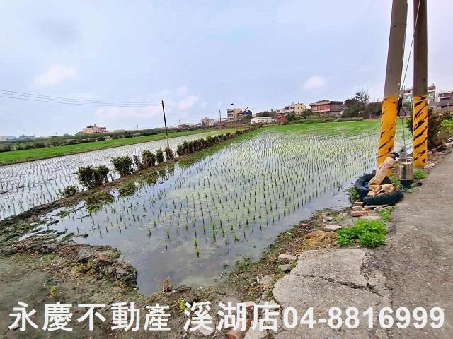 彰化福興農地-7