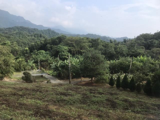 東勢區大料坪休閒農地C區