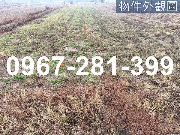 頭份流東里平坦橘子園