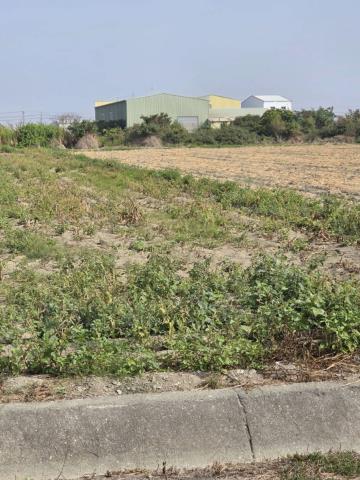 台南農地-6