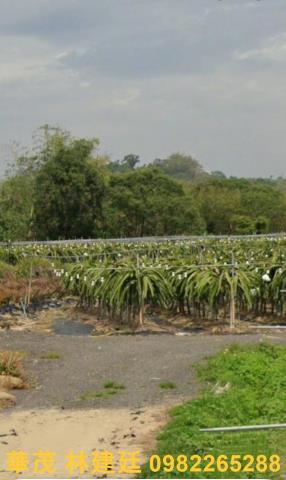 嘉義中埔農地法拍-0