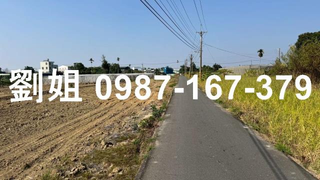 嘉義水上農地-1