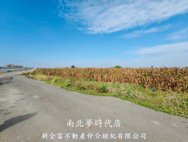 鹽水農地-5