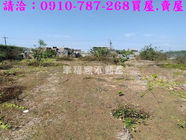 台南農地-14