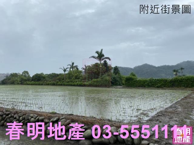 新竹竹北農地-4