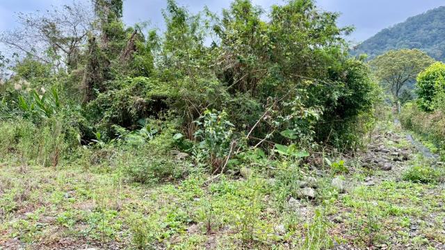 新竹橫山農地-6