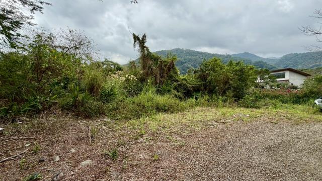 新竹橫山農地-8