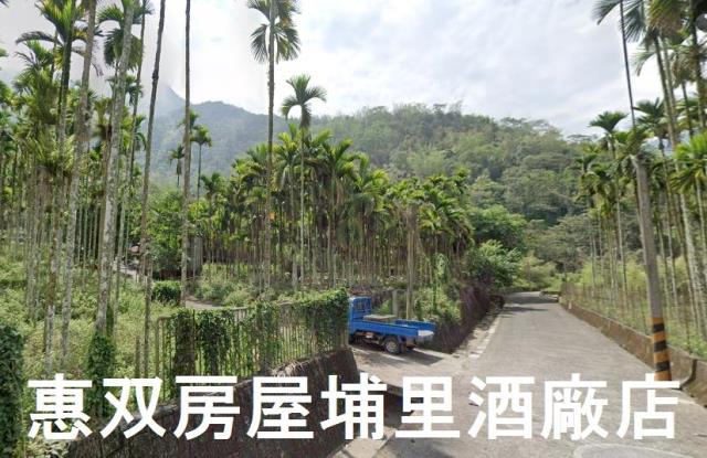 南投魚池農地-2