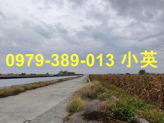 台南鹽水農地-0