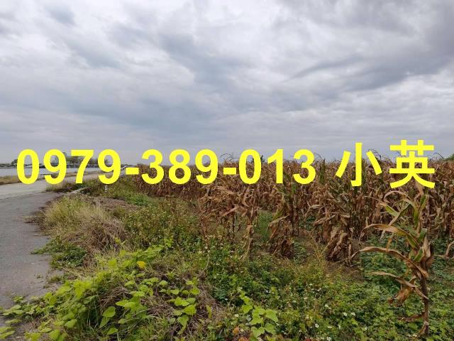 台南鹽水農地-7