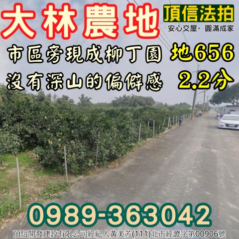 嘉義大林大林國小排路分校657坪農地
